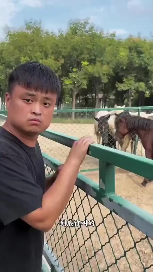 Он их понимает