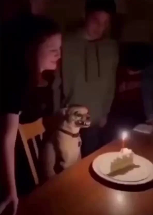 От улыбки этого демона хочется забраться на шкаф