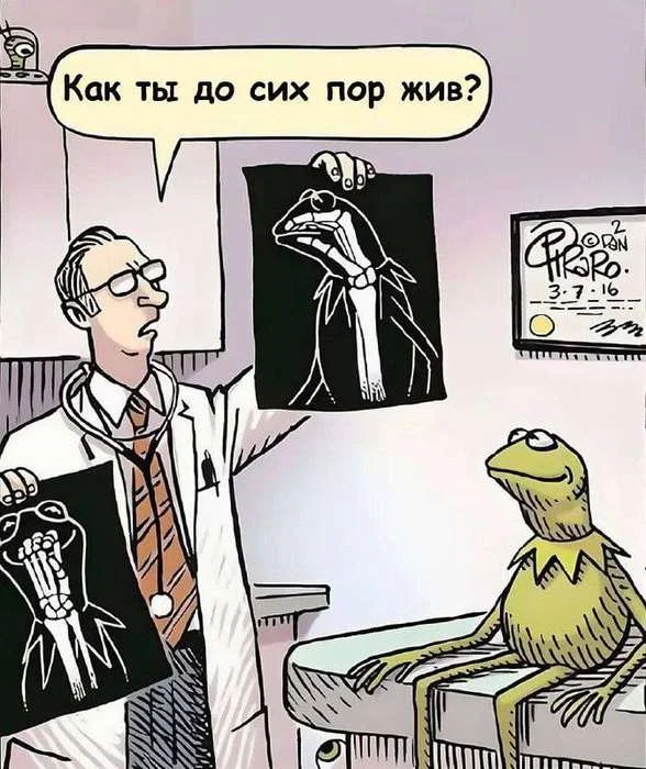 Подборка мемов для смеха