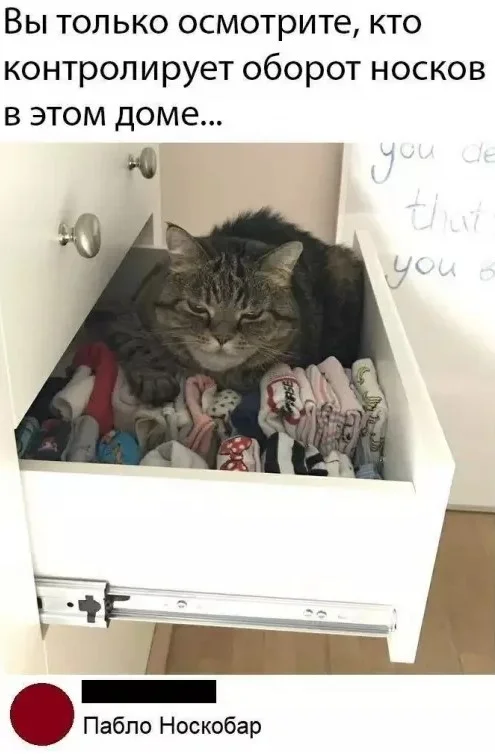 Подборка мемов, картинок и старых шуток