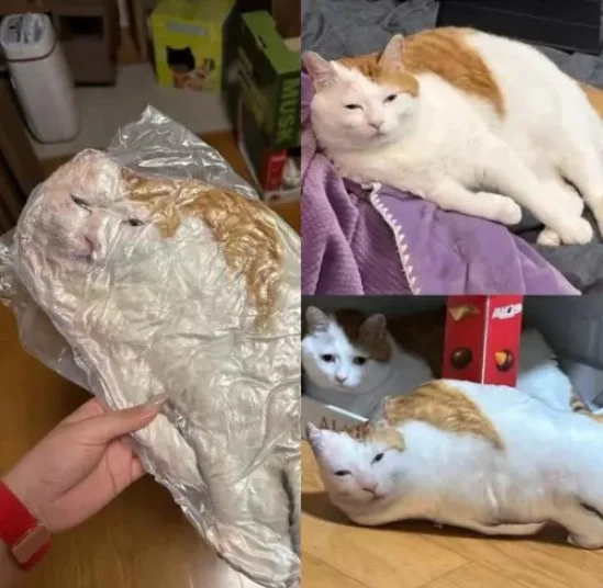 Подборка прикольных картинок