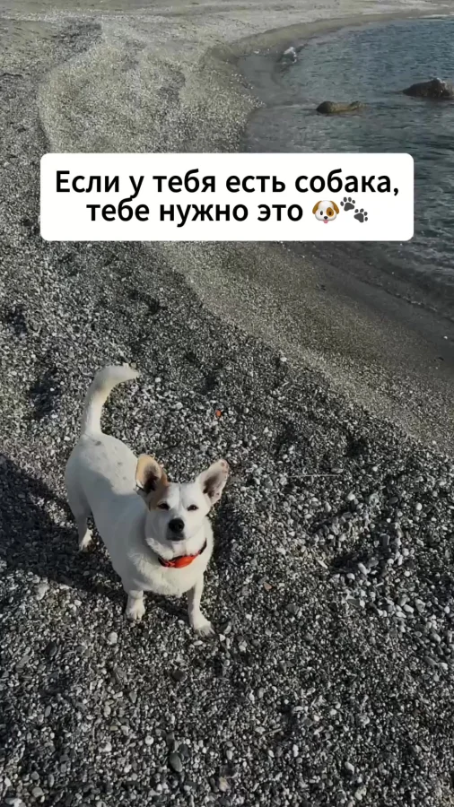 Походная поилка