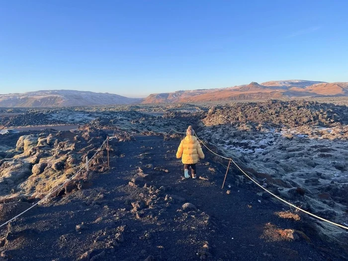 Природа всё скрывает: исландский мох и следы катастрофы