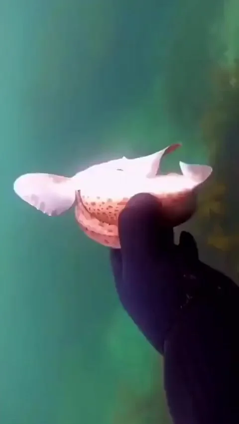 Природой заложенный защитный механизм