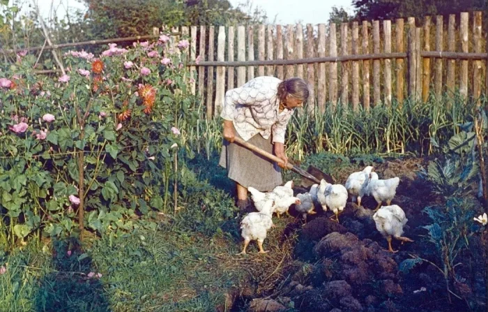 Редкие и любопытные кадры эпохи СССР