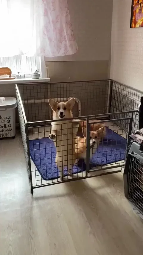 Репетиция народного танца