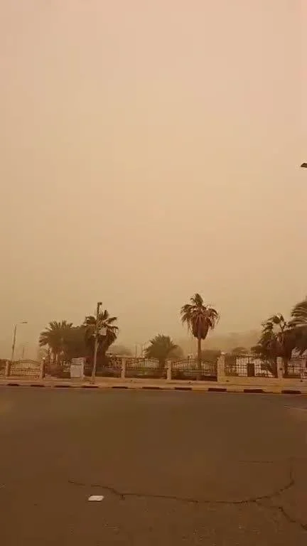 Российские туристы массово покидают пляжи Египта