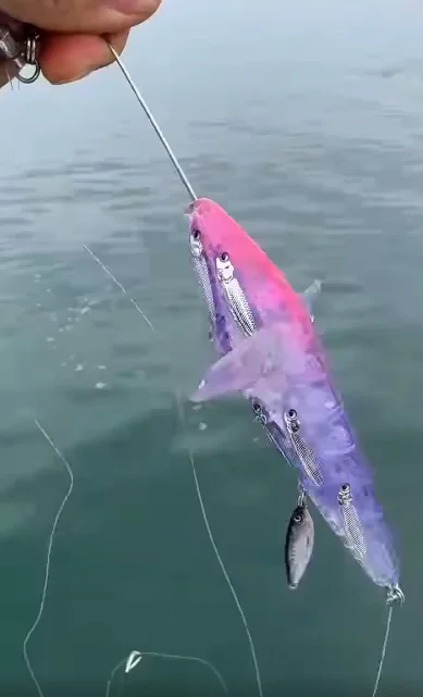 Рыбки для рыбок