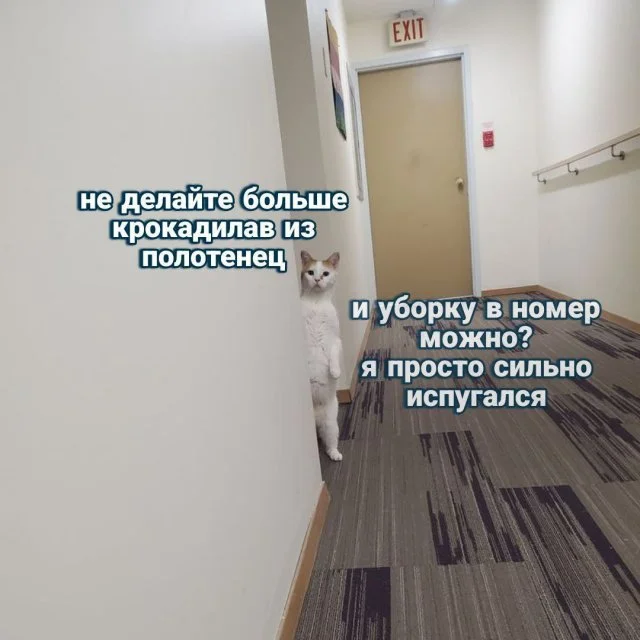 Самые смешные шутки и мемы из Интернета