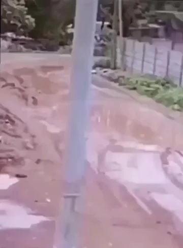 Сбросил лишний груз