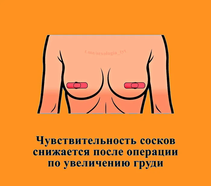 Сексуальная правда: 15 фактов, которым не научат в школе #281