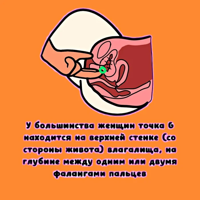 Сексуальная правда: 15 фактов, которым не научат в школе #292