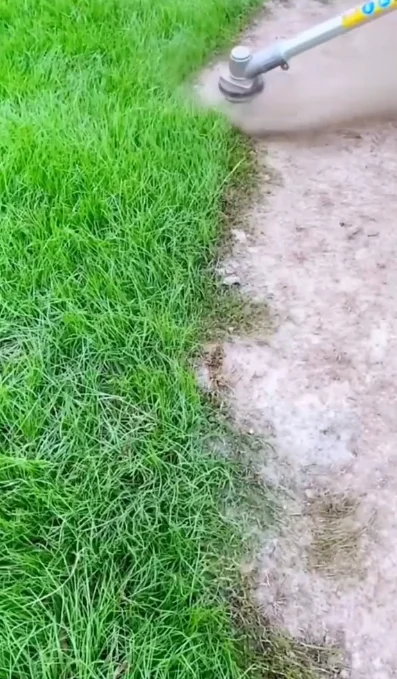 Сезон покоса травы 