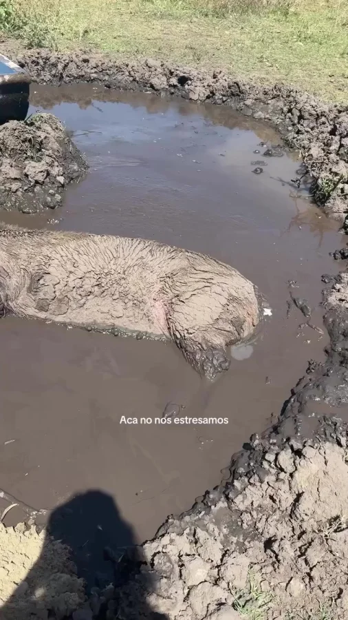 Скоро на всех дорогах страны😂