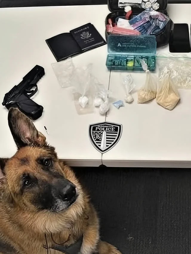 Служебные псы и их впечатляющие находки