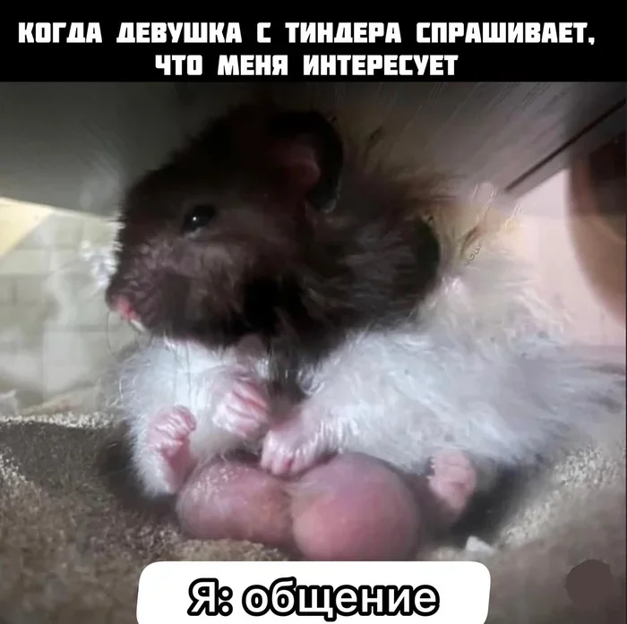 Смеха и юмора пост