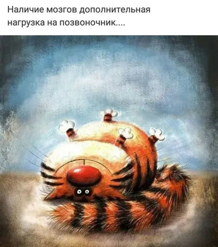 Смешные фразы, цитаты и высказывания, которые поднимают настроение