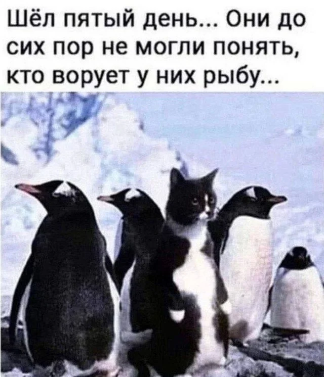 Смешные (и не очень) картинки