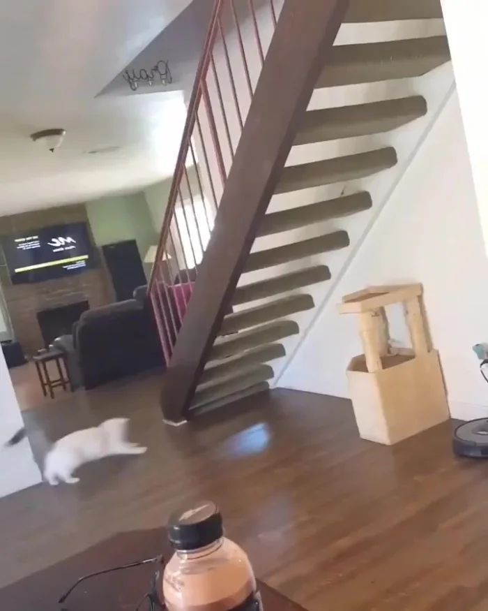 Странно он по лестнице ходит