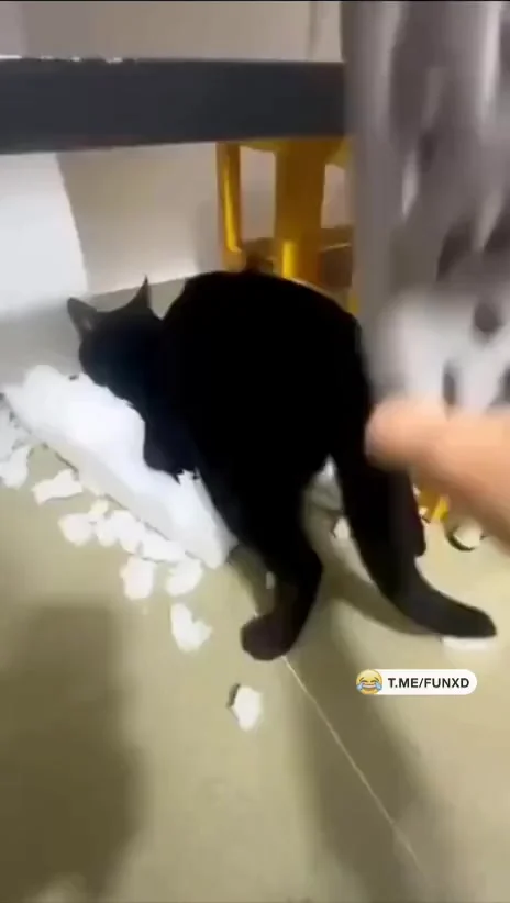 Странные у него увлечения