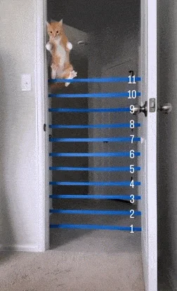 Свежая подборка забавных гифок