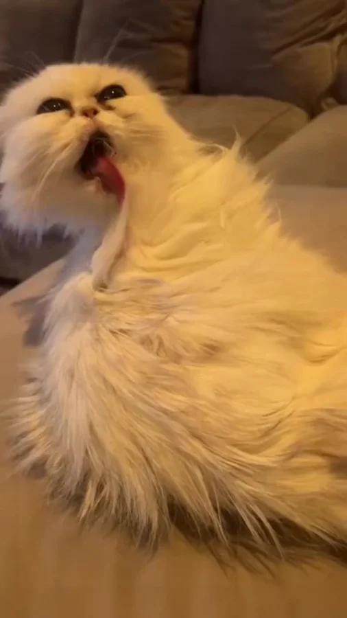 Тяжёлый уход за собой