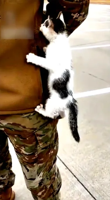 Удобный домик