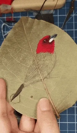 Весёлые моменты в гифках