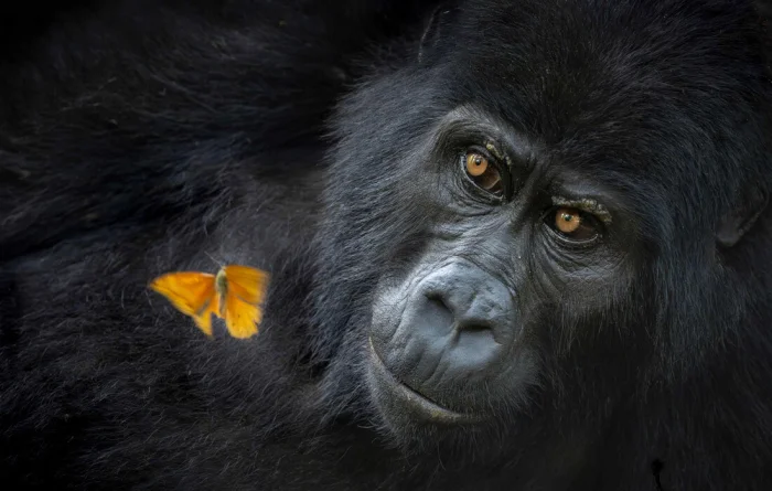 World Nature Photography Awards: лучшие снимки по версии Интерфакс