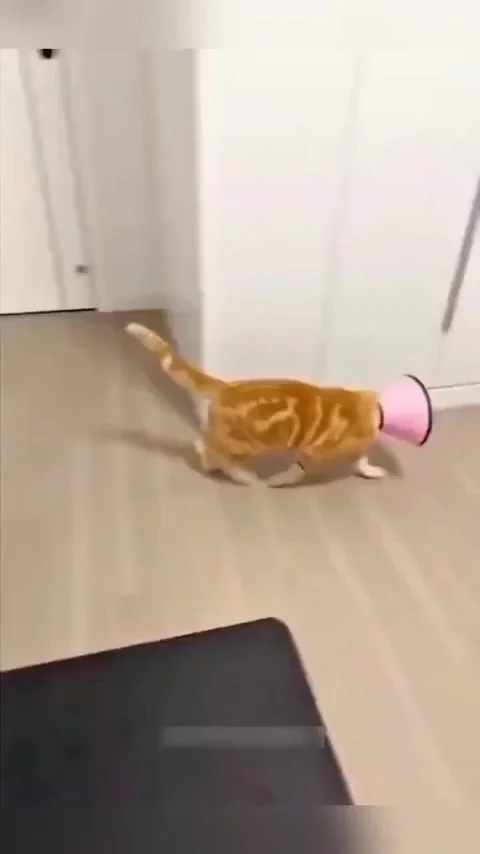 Забавные торшеры