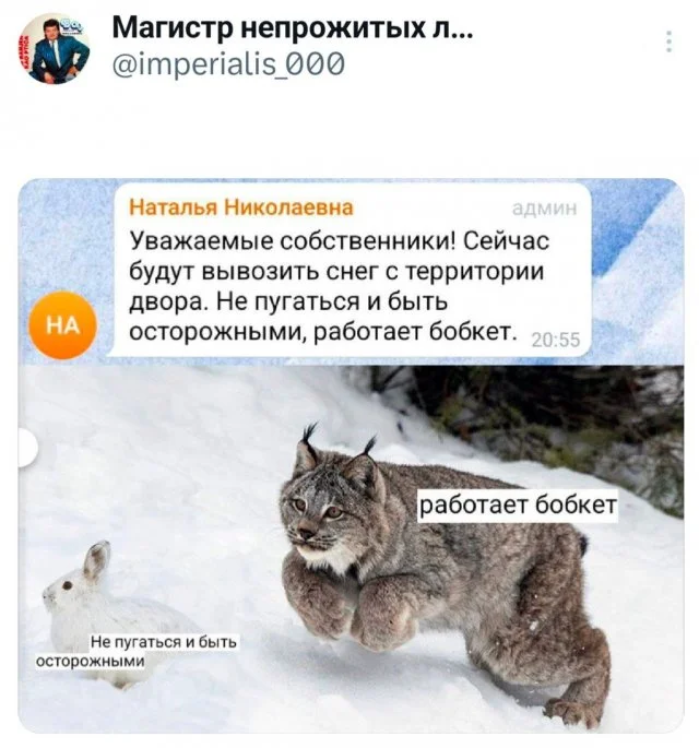 Забавные твиты, которые поднимут настроение