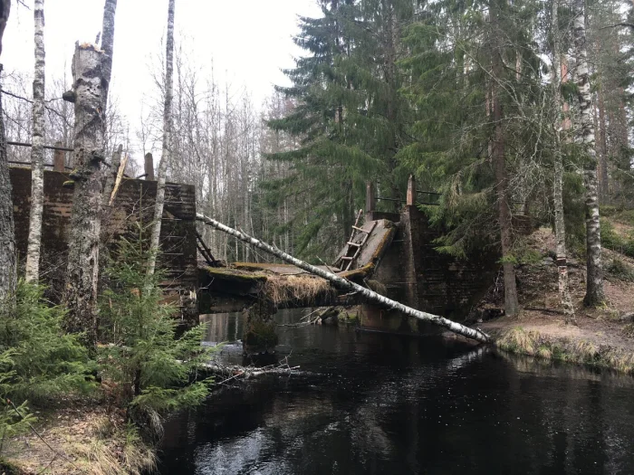 🐉 «Зубы дракона» в Ленобласти: где находится линия Маннергейма