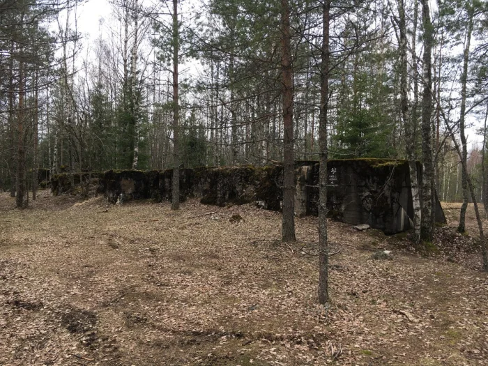 🐉 «Зубы дракона» в Ленобласти: где находится линия Маннергейма