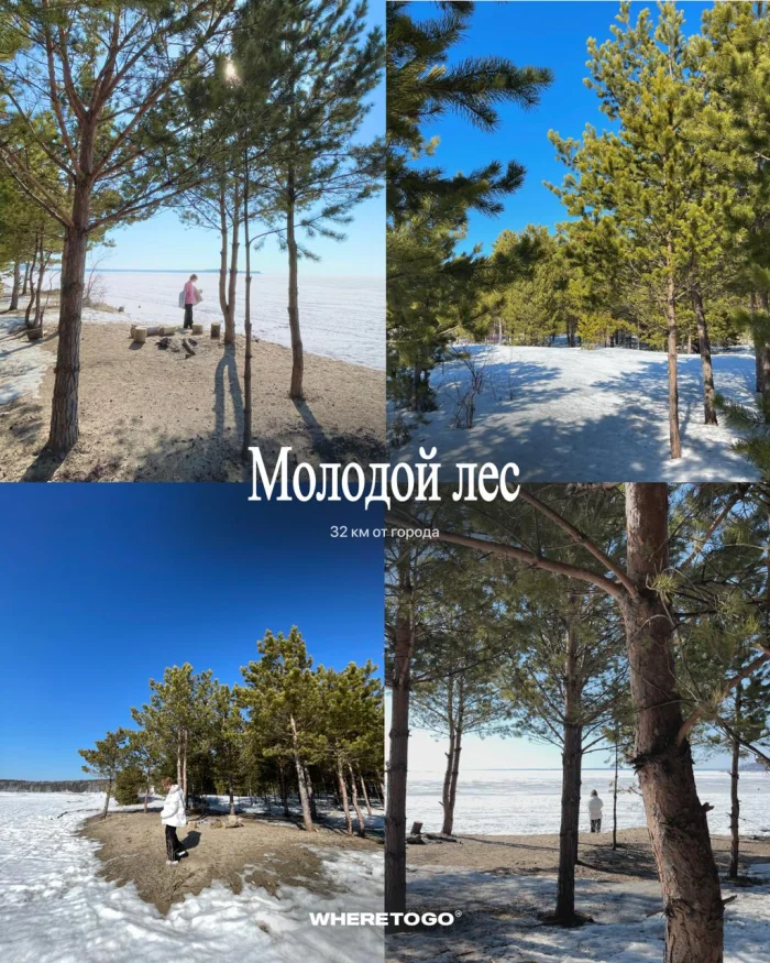❄️ 17 природных локаций рядом с Новосибирском
