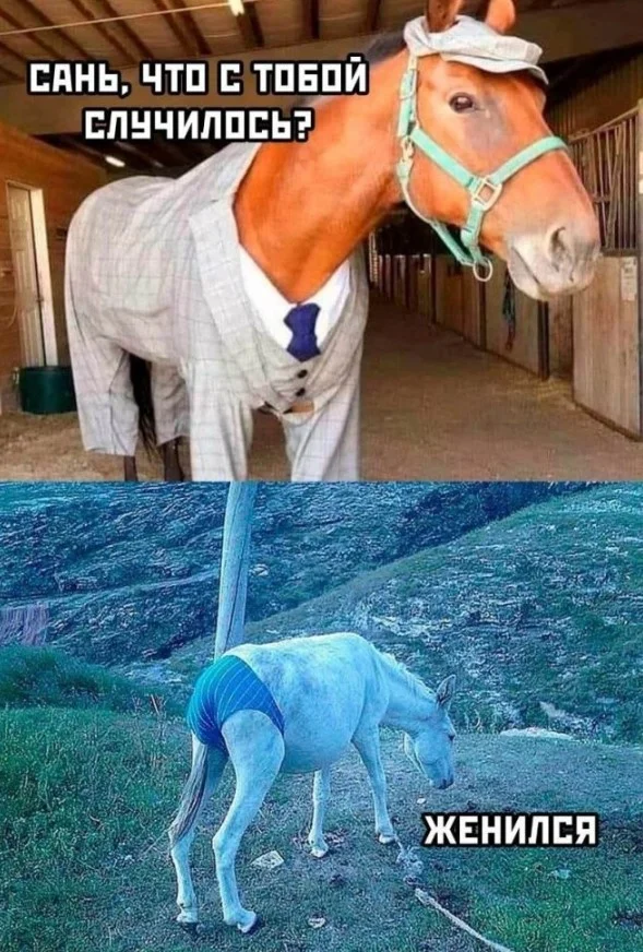 Немного юмора