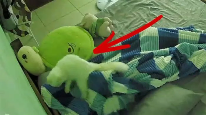 Пора кушать!