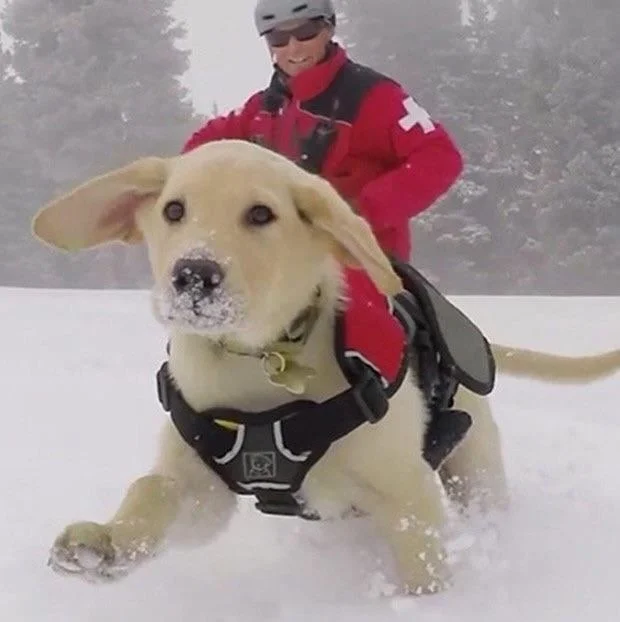 22 фото, где реальность вступила в поединок с перспективой