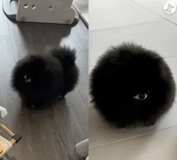 22 фото, где реальность вступила в поединок с перспективой