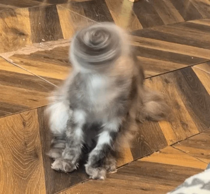 25 добрых и тёплых фото, способных растопить любое сердце