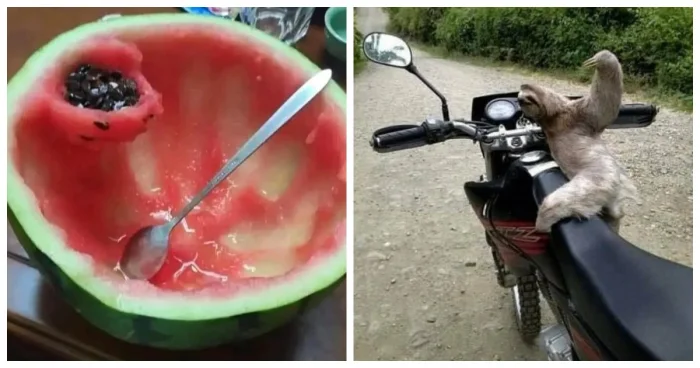 25 реальных моментов из жизни, в которые трудно поверить