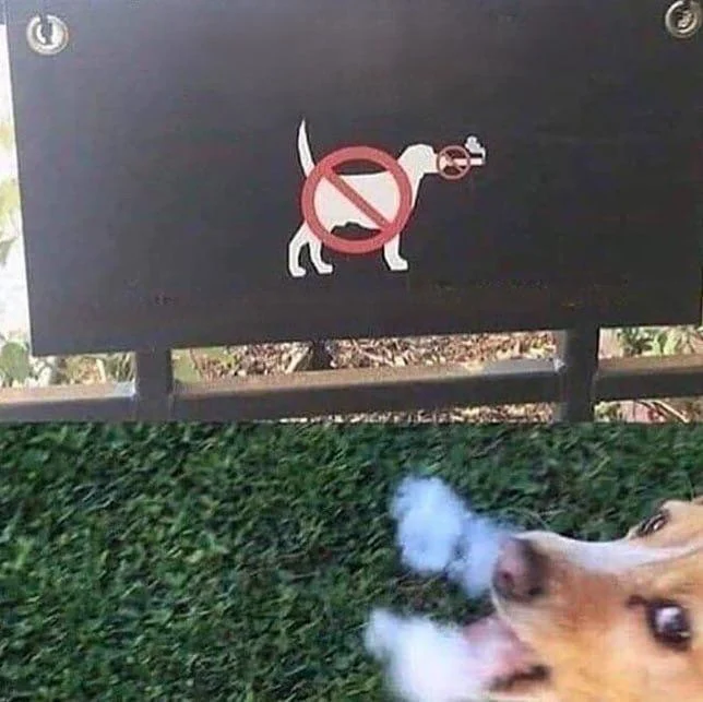 25 реальных моментов из жизни, в которые трудно поверить