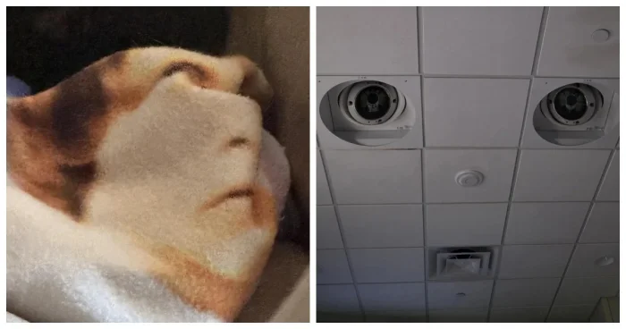 30 фото, после которых вы начнёте всматриваться в каждую деталь вокруг