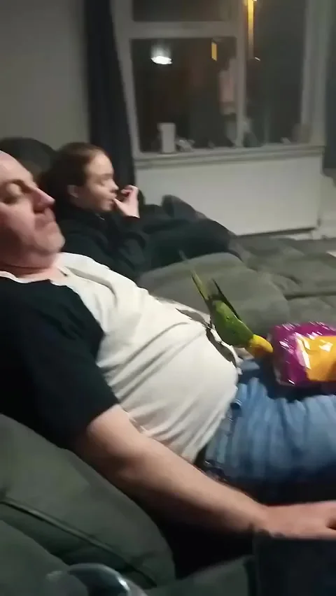 А ведь он не хотел попугая...