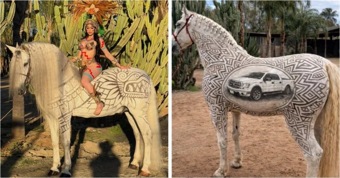 Арт-барберы для лошадей — новый тренд в креативной стрижке