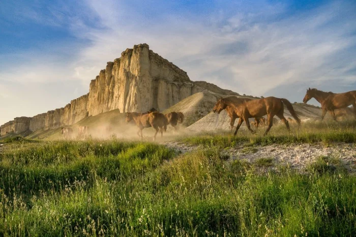 Белая скала — главная кинолокация Крыма: какие фильмы здесь снимали