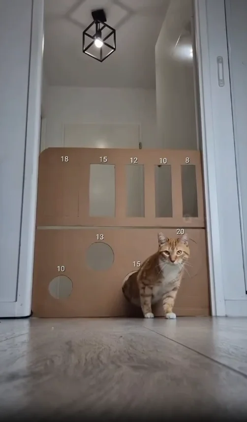 Бронетёмкин "Поносец"