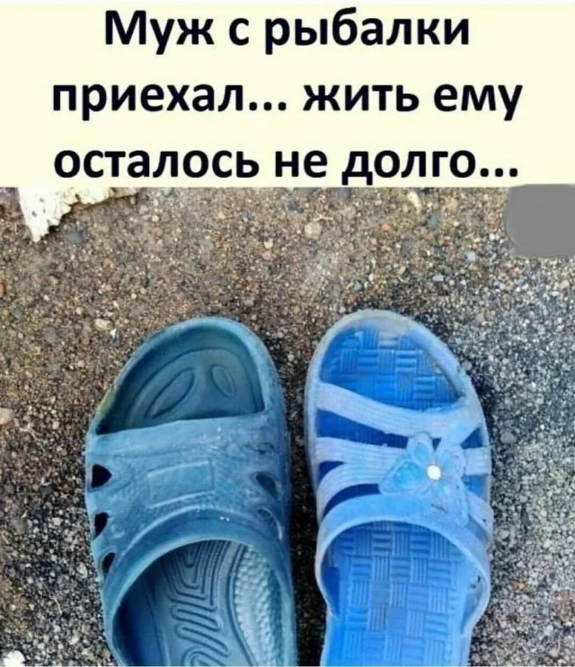 Чисто поржать