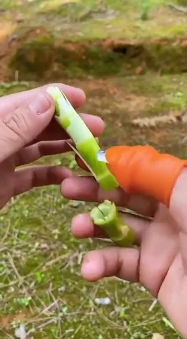 Дачники оценят