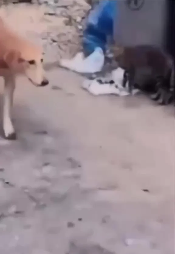 Даже он опоздал на работу