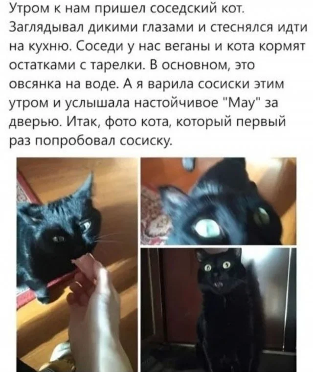 Деградируем весело